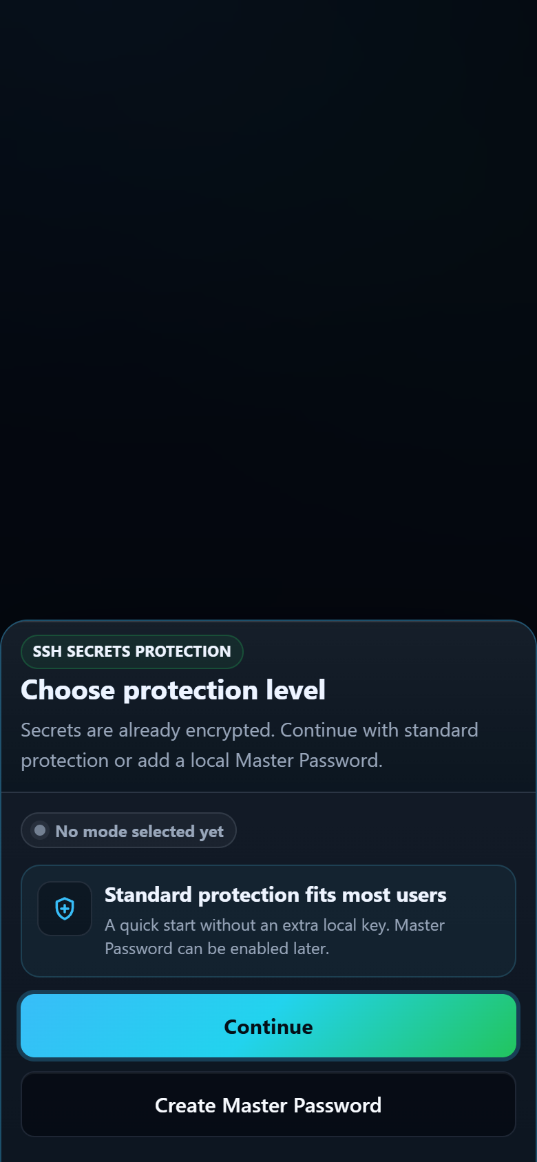 TermiGram protection choice between Standard protection and Master Password