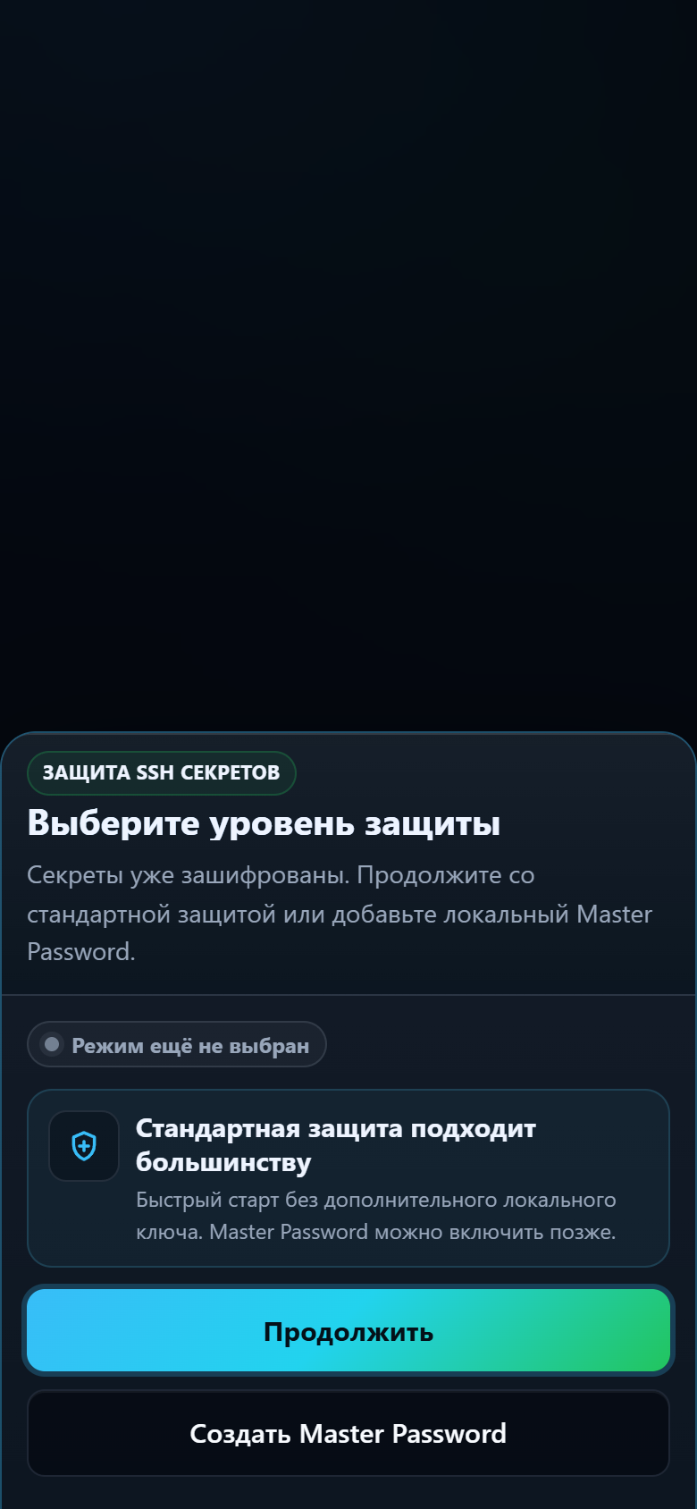 Выбор стандартной защиты или Мастер-пароля в TermiGram