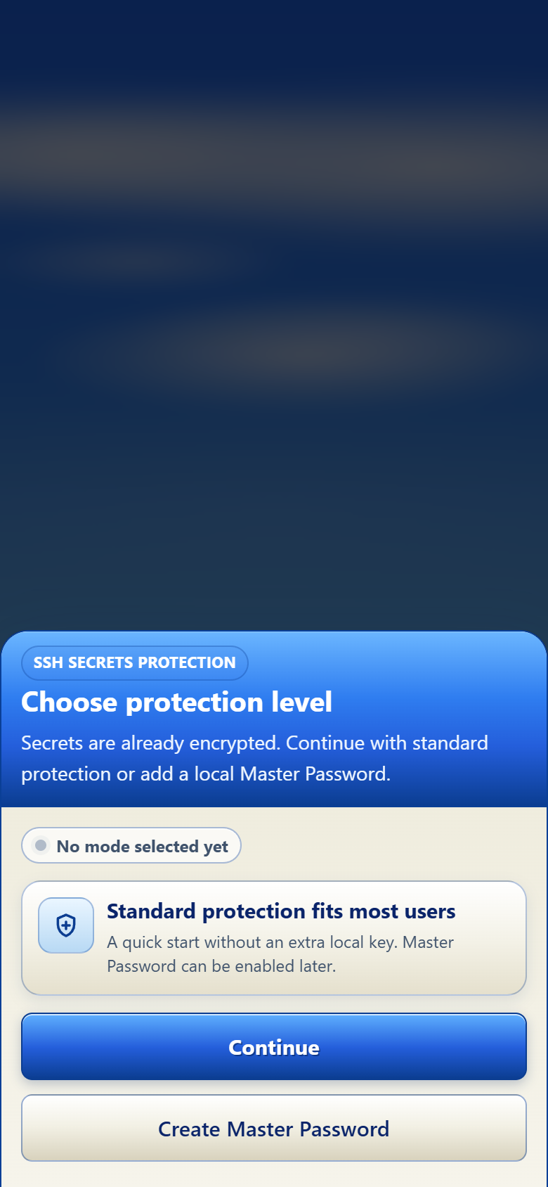 TermiGram protection choice between Standard protection and Master Password