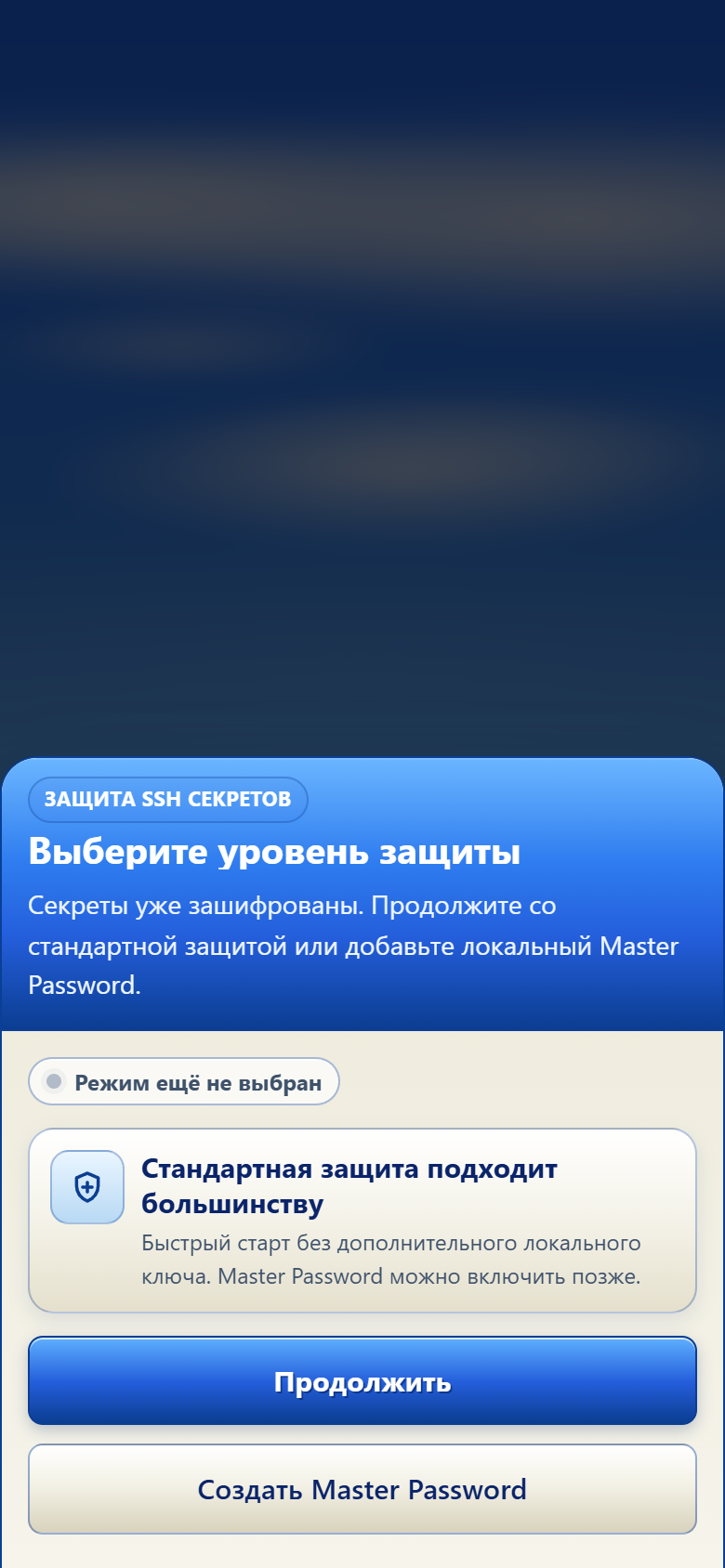 Выбор стандартной защиты или Мастер-пароля в TermiGram