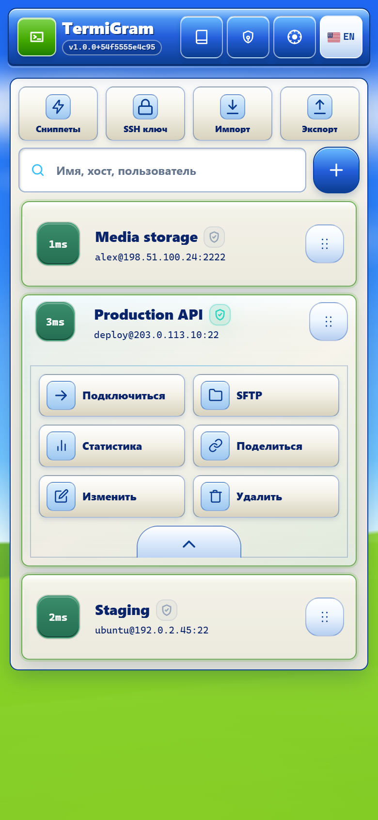 Панель действий профиля с подключением, SFTP, статистикой, отправкой, редактированием и удалением